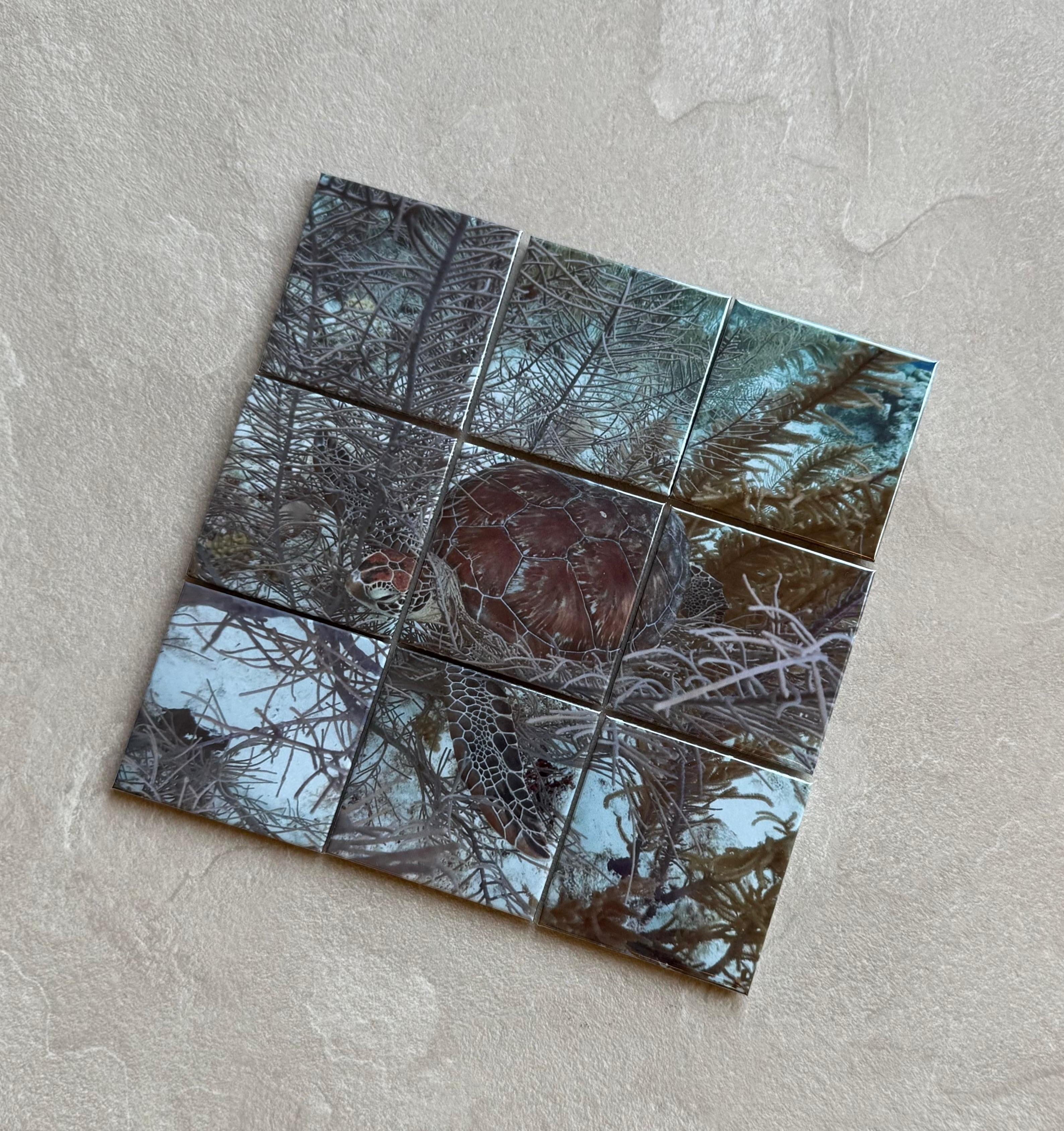 Mozaïek foto 9 stuks